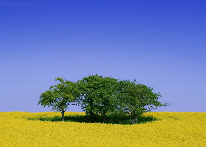 travel_054.jpg